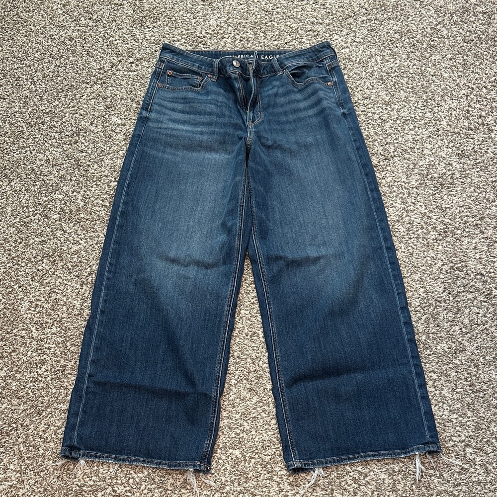 American Eagle Outfitters Low-Rise Baggy Wide Leg Jeans